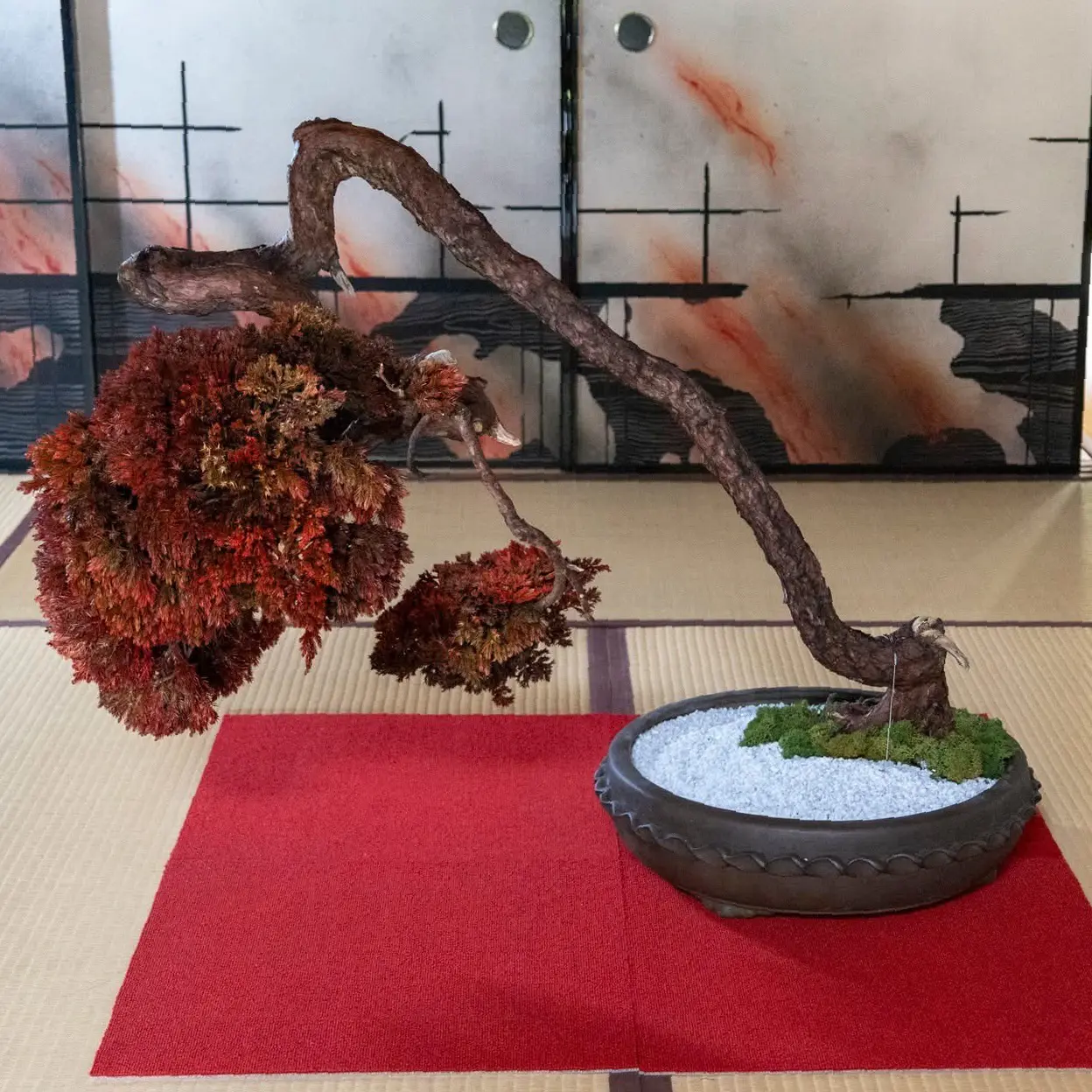 ハイブリッド盆栽